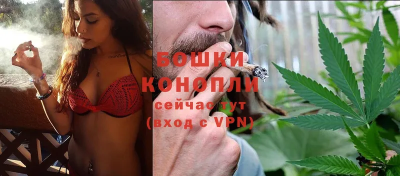 Конопля Ganja  Курган 